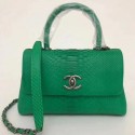 Chanel CC original snakeskin top handle flap bag A93050 green JH04162qd52