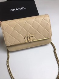 Chanel Wallet on Chain Original A70641 apricot JH03573ul51